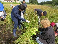 20231008家クそば刈②